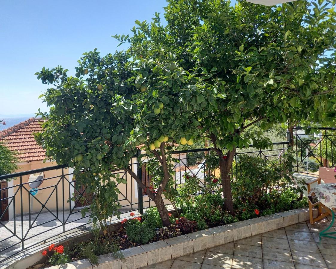 Πηλιο- Το Εξοχικο Τησ Αννασ- Αφησσοσ Villa Áfiszosz Kültér fotó