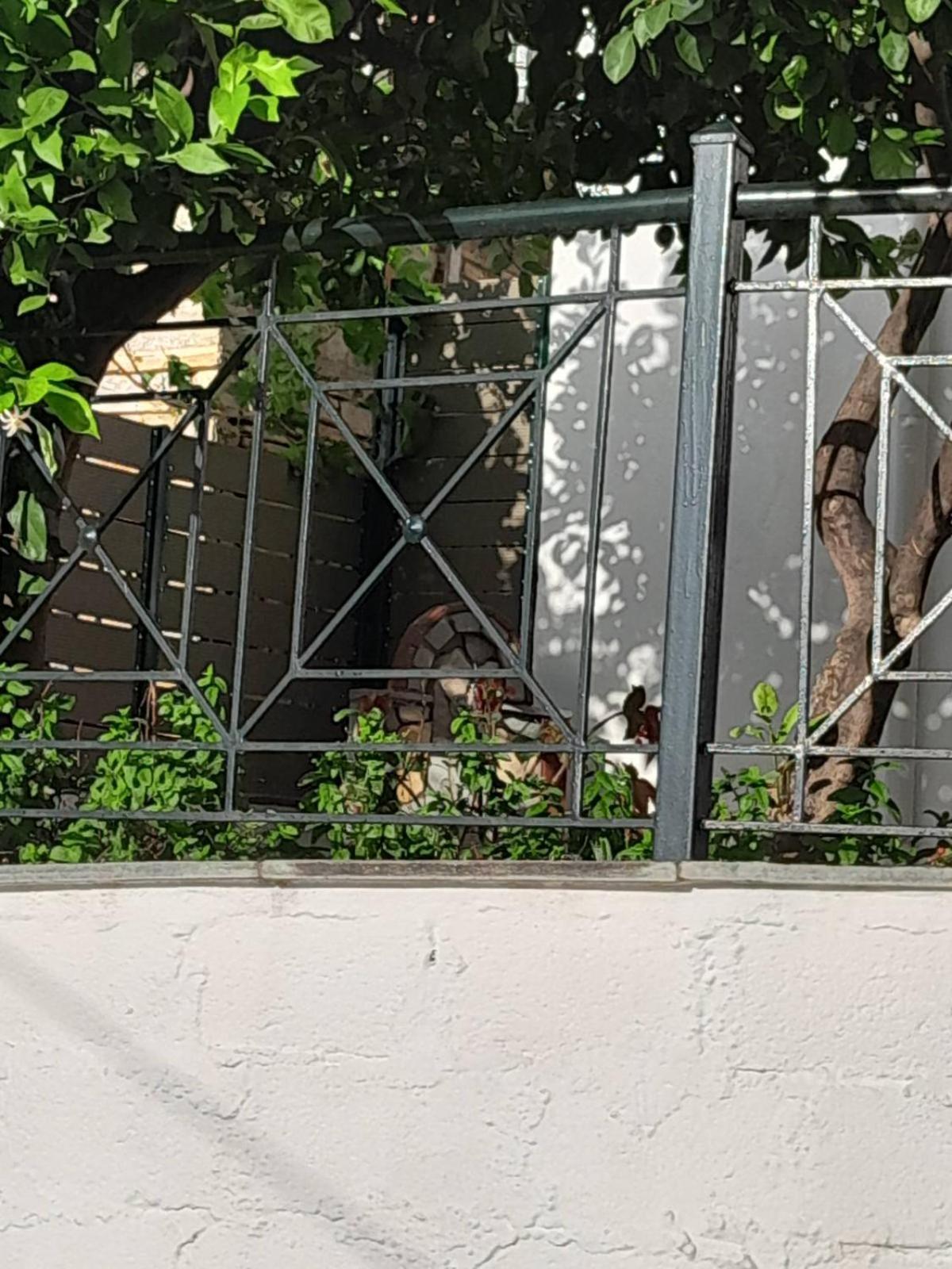 Πηλιο- Το Εξοχικο Τησ Αννασ- Αφησσοσ Villa Áfiszosz Kültér fotó